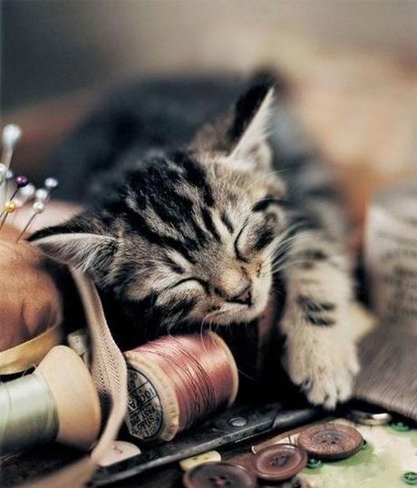 San Viernes repartiendo tareas