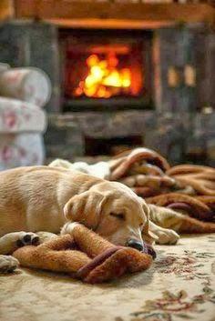 San Viernes repartiendo tareas