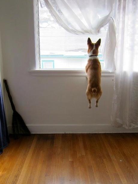 San Viernes repartiendo tareas