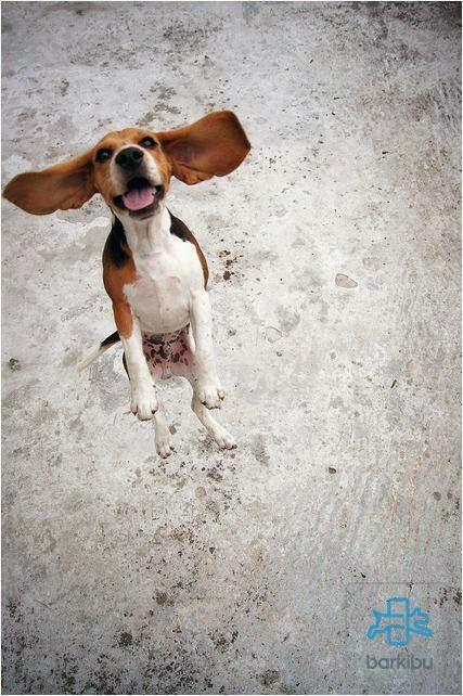 San Viernes repartiendo tareas