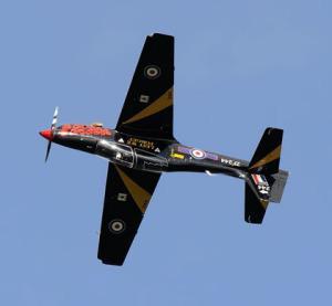 tucano