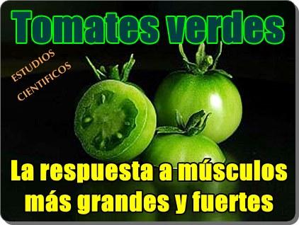 Tomates verdes: la respuesta a músculos más grandes y fuertes