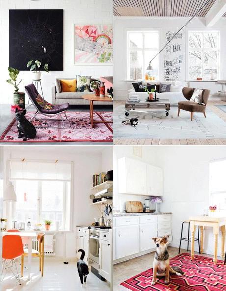 MASCOTAS EN INTERIORES BONITOS