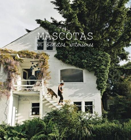 MASCOTAS EN INTERIORES BONITOS