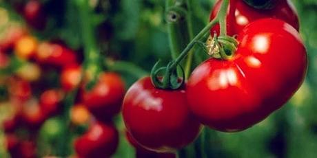 La Agenda de LaMala Mamma: Rural Suite Hotel Apartamentos