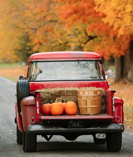 BIENVENIDO OTOÑO