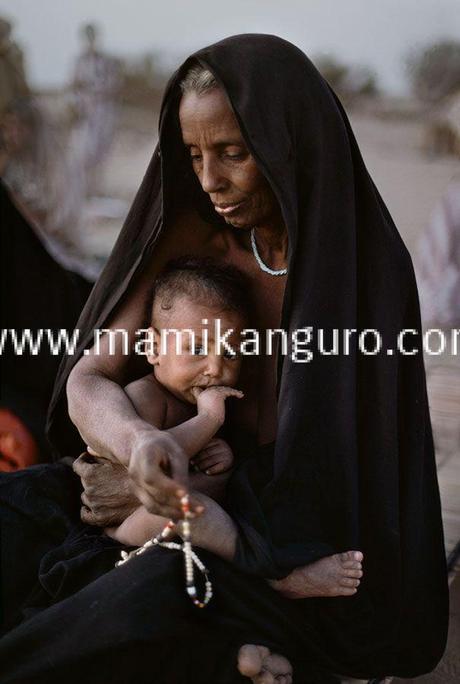 ee9bf06e84b37c47d22025414fe3fa02