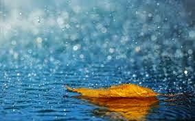 HA LLEGADO LA LLUVIA...