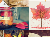 Weeky inspiration: Autumn leaves