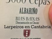 Vino Blanco Cepas 2011: Para comprar unas cuantas botellas