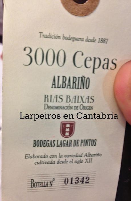 Vino Blanco 300 Cepas 2011: Para comprar unas cuantas botellas