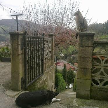 Día Mundial de los Animales