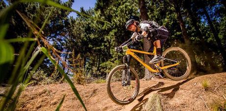 Pyga OneForty650 Pascoe 1