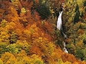 moda viste otoño