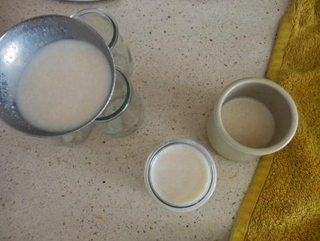 Yogur Casero para Bebés (Sin Yogurtera)