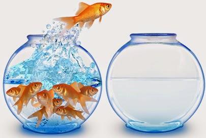 Hosting Ilimitado - No te engañes: Ilimitado NO es ilimitado