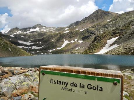 El topillo nival en el estany de la Gola. Pallars Sobirà