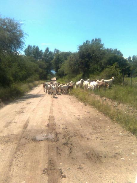 Todos los caminos. . .