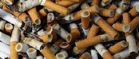 cuanto tarda en descomponerse004 Cuanto tarda en descomponerse? cuanto tarda en descomponerse 