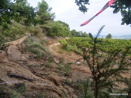 Trail Senders del Penedes