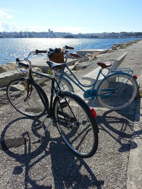 ¿De verdad es otoño? 20140628_182723 - Version 2