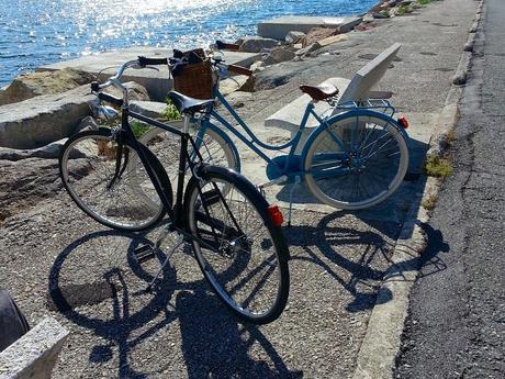 ¿De verdad es otoño? 20140628_182728 - Version 2