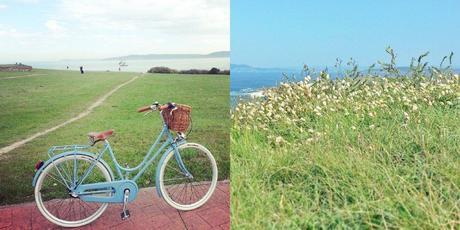 ¿De verdad es otoño? Ribbet collage