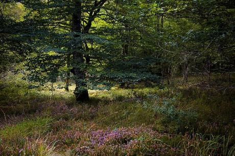 Monumento natural Monte Santiago