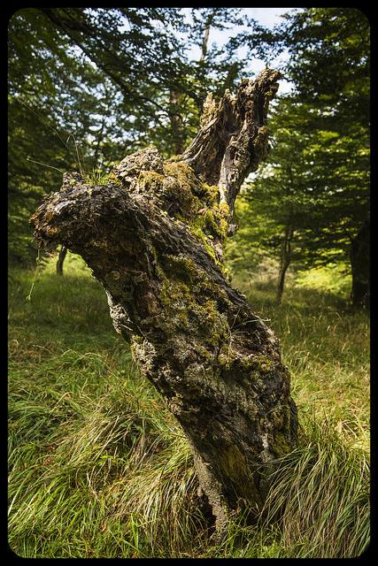 Monumento natural Monte Santiago