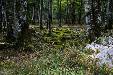 Monumento natural Monte Santiago