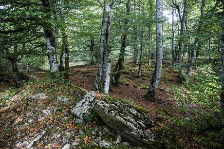 Monumento natural Monte Santiago