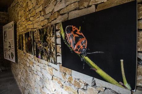 Monumento Natural Monte Santiago