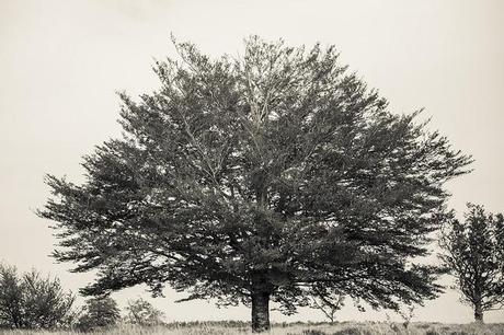 Monumento natural Monte Santiago