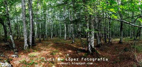 Nacimiento del Nervión, Monte Santiago