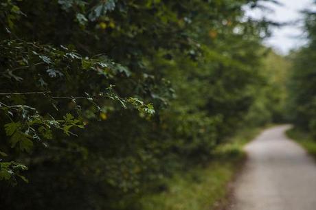 Monumento natural del Monte Santiago