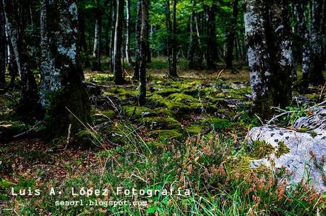 Nacimiento del Nervión, Monte Santiago