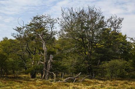 Nacimiento del Nervión