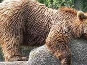 minutitos empiezo...". claves para vencer procrastinación