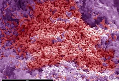 Hallan un yacimiento mineral único en el mundo bajo la Península Ibérica