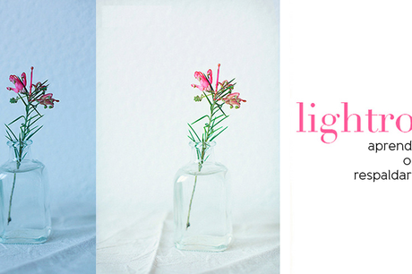 LOS CURSOS DE JACKIE RUEDA YA ESTÁN AQUI