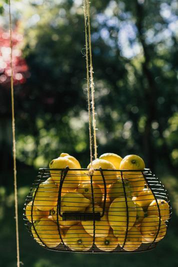 058andreaydani Bodas CdB 2014. La boda rustic-chic de Andrea y Daniel