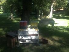 colores-de-boda-puesto-limonada-andrea-dani Bodas CdB 2014. La boda rustic-chic de Andrea y Daniel