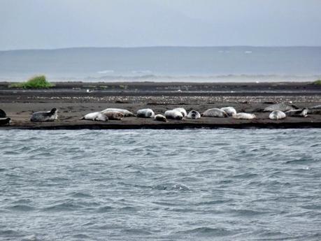 De vuelta a Reykjavik : Fiordos y Península de Snaefellsnes