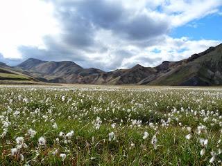 Las montañas pintadas de Landmannalaugar