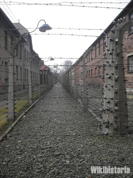 El campo de Auschwitz-Birkenau en la actualidad