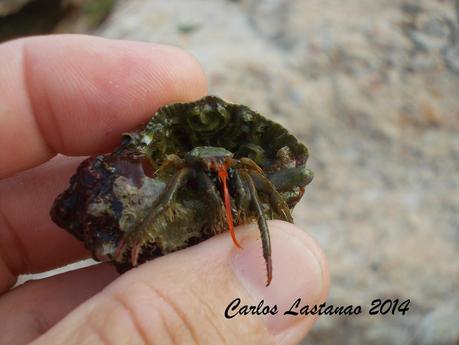 Recuerdos del verano 1