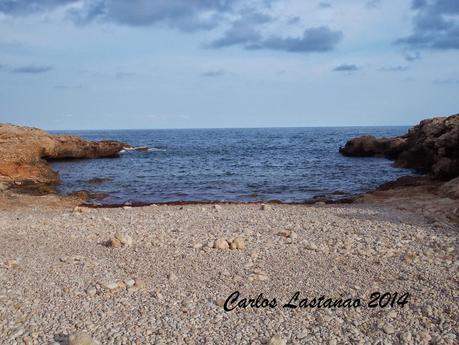 Recuerdos del verano 1