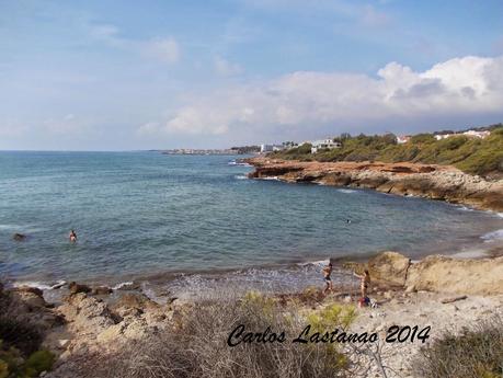 Recuerdos del verano 1