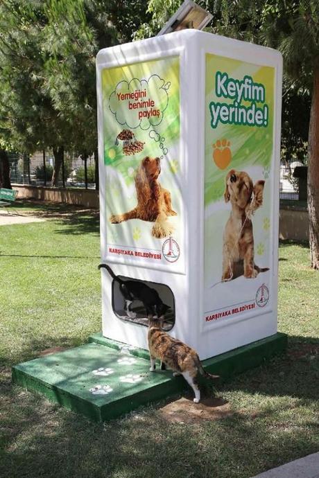 máquina expendedora de alimentos para animales de la calle