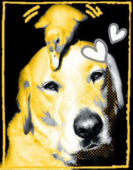 ¿Cómo elegir a nuestros amigos?